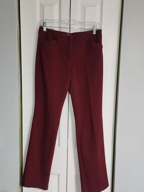 Express Editor Pants in Deep Wine
